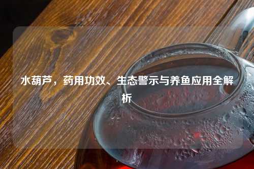 水葫芦，药用功效、生态警示与养鱼应用全解析