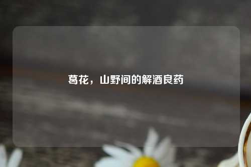 葛花,山野间的解酒良药