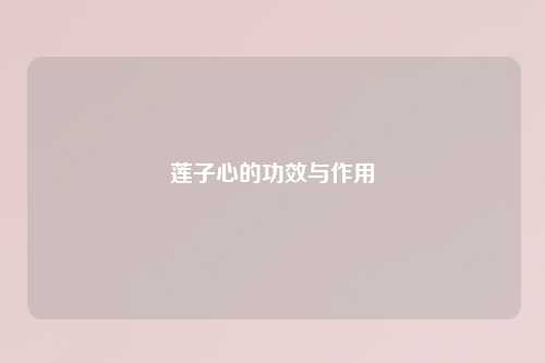 莲子心的功效与作用