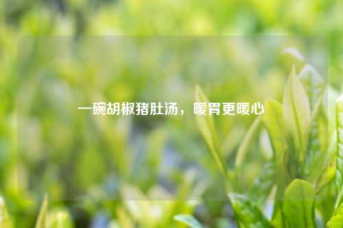 一碗胡椒猪肚汤,暖胃更暖心