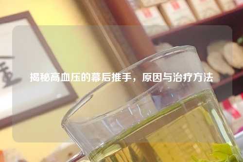揭秘高血压的幕后推手，原因与治疗     