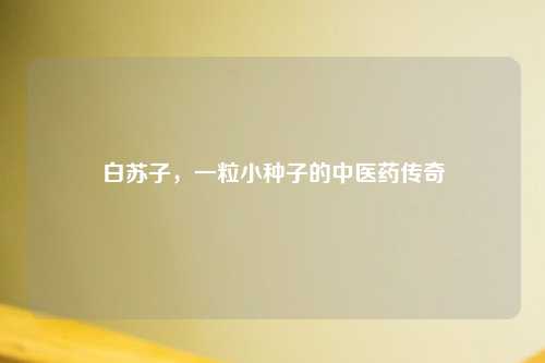 白苏子,一粒小种子的中医药传奇