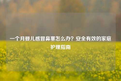 一个月婴儿感冒鼻塞怎么办？安全有效的家庭护理指南