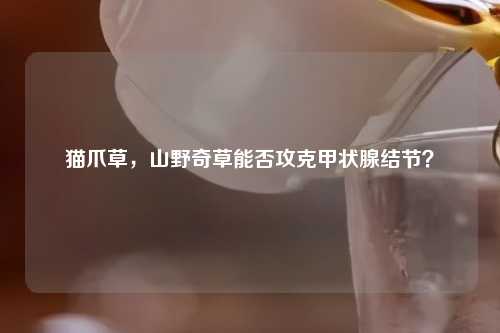 猫爪草，山野奇草能否攻克甲状腺结节？