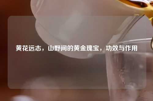 黄花远志,山野间的黄金瑰宝,功效与作用