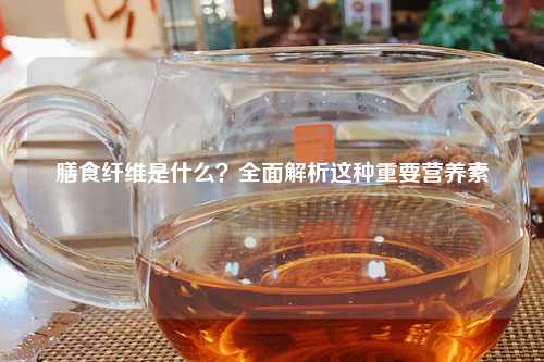 膳食纤维是什么？全面解析这种重要营养素