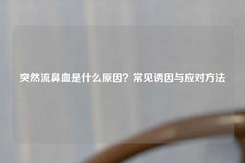 突然流鼻血是什么原因？常见诱因与应对     