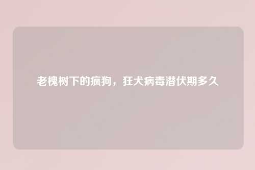 老槐树下的疯狗，狂犬病毒潜伏期多久