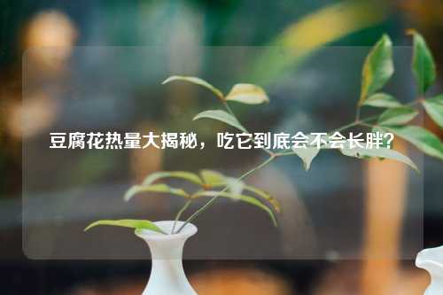 豆腐花热量大揭秘，吃它到底会不会长胖？
