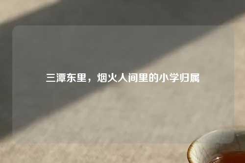 三潭东里，烟火人间里的小学归属