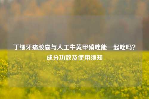 丁细牙痛胶囊与人工牛黄甲硝唑能一起吃吗？成分功效及使用须知