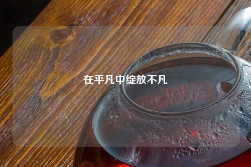 在平凡中绽放不凡