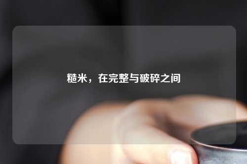 糙米，在完整与破碎之间