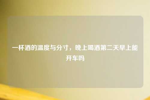 一杯酒的温度与分寸，晚上喝酒第二天早上能开车吗