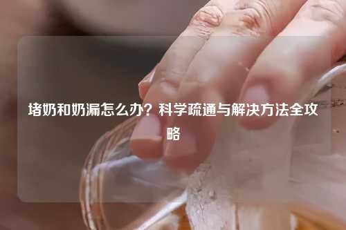 堵奶和奶漏怎么办？科学疏通与解决     全攻略