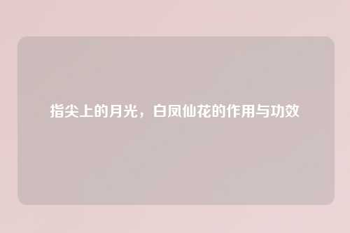指尖上的月光，白凤仙花的作用与功效