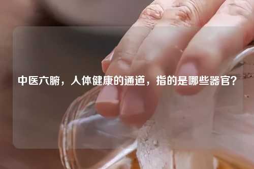 中医六腑,人体健康的通道,指的是哪些器官?