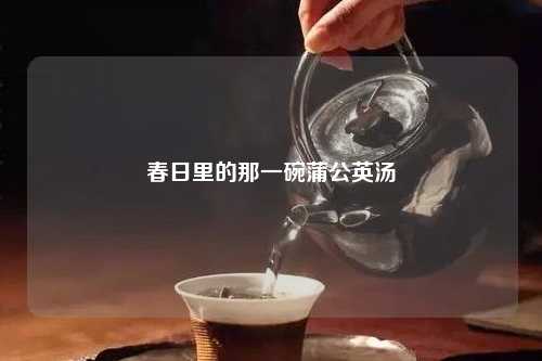 春日里的那一碗蒲公英汤