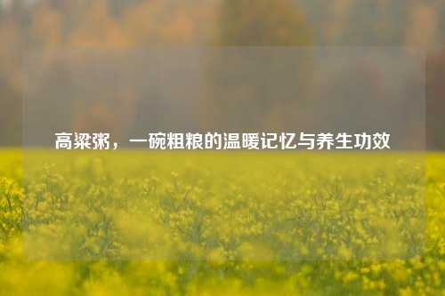 高粱粥，一碗粗粮的温暖记忆与养生功效