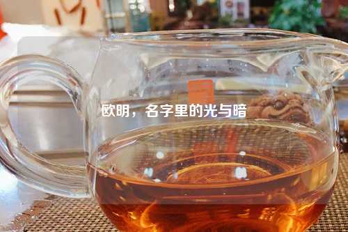 欧明，名字里的光与暗
