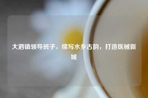 大泗镇领导班子，续写水乡古韵，打造医械新城