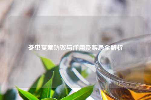 冬虫夏草功效与作用及禁忌全解析