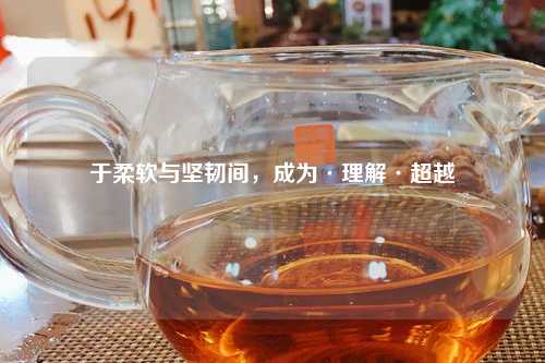 于柔软与坚韧间，成为·理解·超越