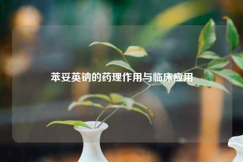 苯妥英钠的药理作用与临床应用