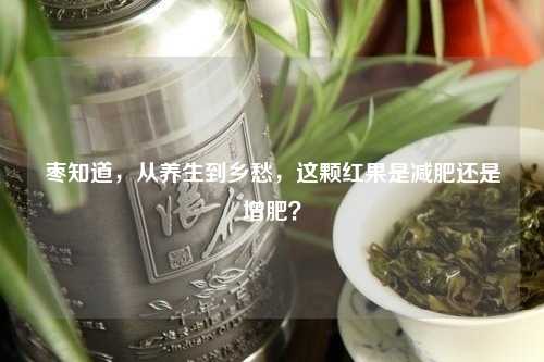 枣知道，从养生到乡愁，这颗红果是减肥还是增肥？