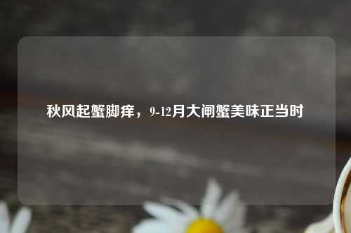 秋风起蟹脚痒，9-12月大闸蟹美味正当时