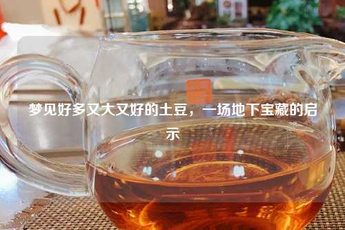 梦见好多又大又好的土豆，一场地下宝藏的启示