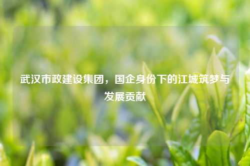 武汉市政建设集团，国企身份下的江城筑梦与发展贡献