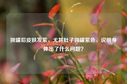 拔罐后皮肤发紫，尤其肚子拔罐紫色，说明身体出了什么问题？