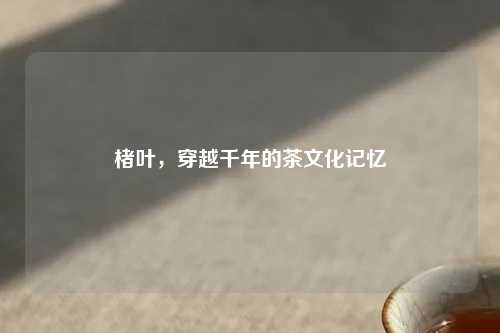 楮叶，穿越千年的茶文化记忆