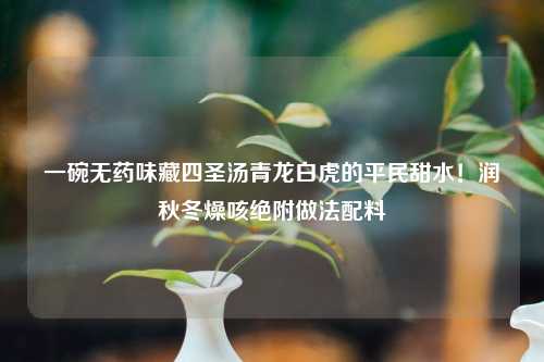 一碗无药味藏四圣汤青龙白虎的平民甜水！润秋冬燥咳绝附做法配料