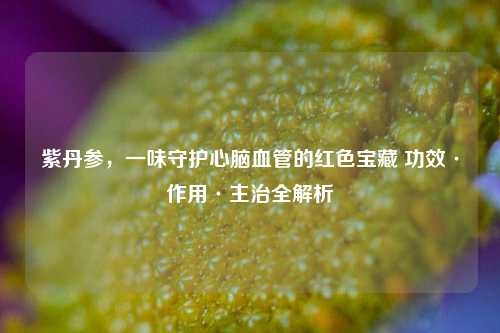 紫丹参，一味守护心脑血管的红色宝藏 功效·作用·主治全解析