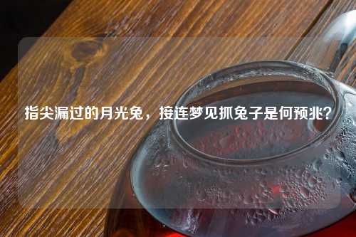 指尖漏过的月光兔，接连梦见抓兔子是何预兆？