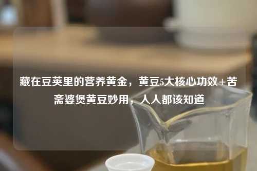 藏在豆荚里的营养黄金，黄豆5大核心功效+苦斋婆煲黄豆妙用，人人都该知道