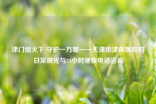 津门烟火下 守护一方暖——天津市津南医院的日常微光与24小时硬核     咨询