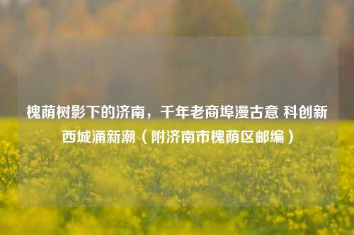 槐荫树影下的济南，千年老商埠漫古意 科创新西城涌新潮（附济南市槐荫区邮编）