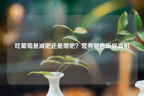 吃葡萄是减肥还是增肥？营养师告诉你真相
