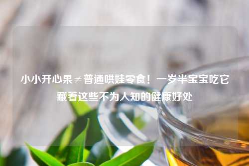 小小开心果≠普通哄娃零食！一岁半宝宝吃它藏着这些不为人知的健康好处