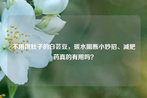 不用饿肚子的白芸豆，碳水阻断小妙招、减肥药真的有用吗？