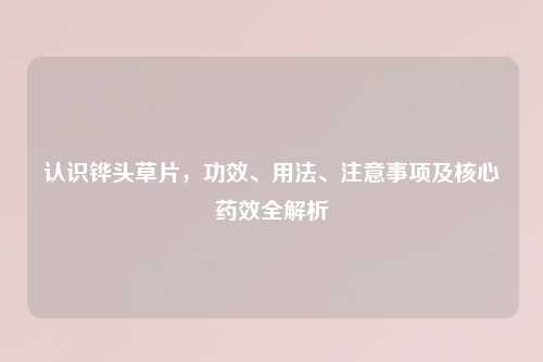 认识铧头草片，功效、用法、注意事项及核心药效全解析