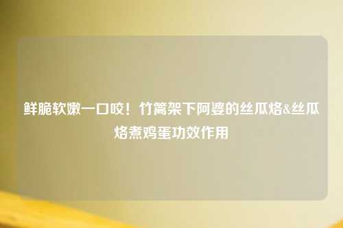 鲜脆软嫩一口咬！竹篱架下阿婆的丝瓜烙&丝瓜烙煮鸡蛋功效作用