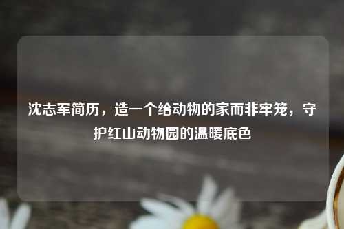 沈志军简历，造一个给动物的家而非牢笼，守护红山动物园的温暖底色