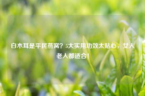 白木耳是平民燕窝？5大实用功效太贴心，女人老人都适合！