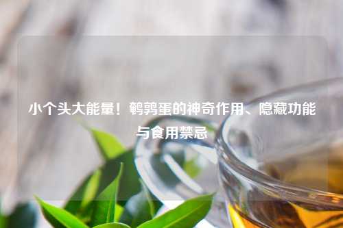 小个头大能量！鹌鹑蛋的神奇作用、隐藏功能与食用禁忌