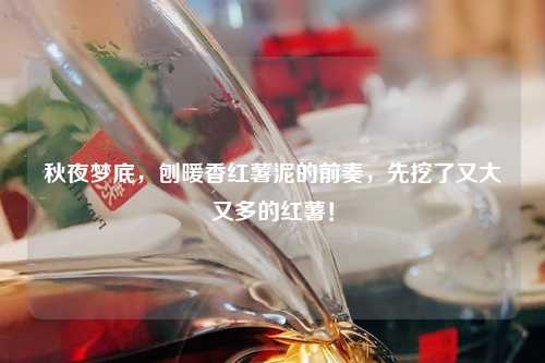 秋夜梦底，刨暖香红薯泥的前奏，先挖了又大又多的红薯！