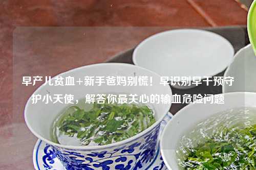 早产儿贫血+新手爸妈别慌！早识别早干预守护小天使，解答你最关心的输血危险问题